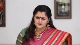 Pagal Nilavu S06E474 Malar Forces Sneha to Marry Dilip Full Episode