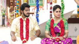 Pagal Nilavu S06E475 Sneha, Dilip's Engagement Full Episode