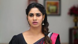 Pagal Nilavu S06E483 Sneha Decides to Leave? Full Episode