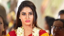 Pagal Nilavu S06E504 Sneha Is Determined Full Episode