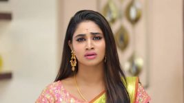 Pagal Nilavu S06E515 Sneha's Request to Sathya Full Episode
