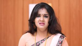 Pagal Nilavu S06E516 Arjun Quarrels with Tamizh Full Episode