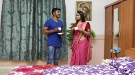 Pagal Nilavu S06E530 Arjun, Sneha's Quality Time Full Episode