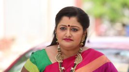 Pagal Nilavu S06E551 Malar on a Lookout Full Episode