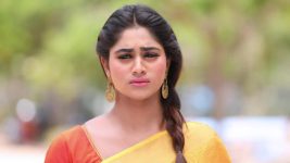 Pagal Nilavu S06E552 Malar Finds Sneha Full Episode