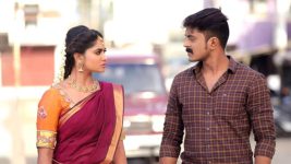 Pagal Nilavu S06E554 Arjun, Sneha to Get Married? Full Episode