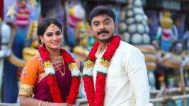 Pagal Nilavu S06E556 Sneha, Arjun Tie the Knot Full Episode