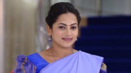 Piriyadha Varam Vendum S01E106 13th November 2019 Full Episode