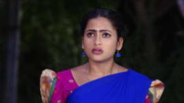 Piriyadha Varam Vendum S01E107 14th November 2019 Full Episode