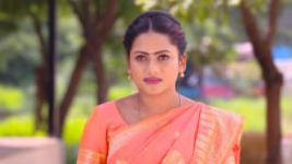 Piriyadha Varam Vendum S01E111 20th November 2019 Full Episode