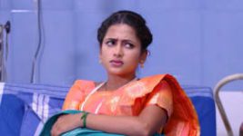 Piriyadha Varam Vendum S01E113 22nd November 2019 Full Episode
