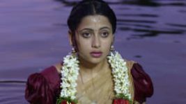Piriyadha Varam Vendum S01E115 26th November 2019 Full Episode
