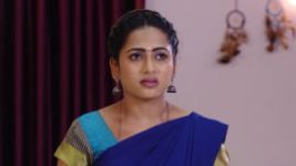 Piriyadha Varam Vendum S01E132 19th December 2019 Full Episode