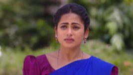 Piriyadha Varam Vendum S01E169 12th February 2020 Full Episode