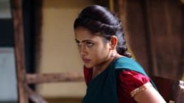 Piriyadha Varam Vendum S01E195 19th March 2020 Full Episode