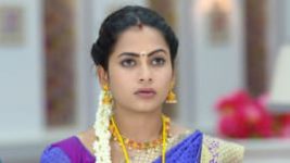 Piriyadha Varam Vendum S01E203 1st August 2020 Full Episode