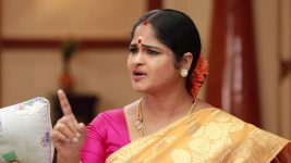 Raja Rani S02 E546 Mangalam Argues With Sivagami