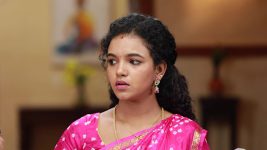 Raja Rani S02 E554 Archana Regrets Her Acts