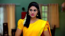 Rajamagal S01E529 17th November 2021 Full Episode