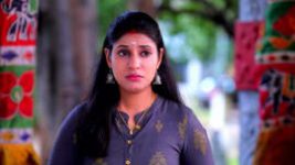 Rajamagal S01E531 19th November 2021 Full Episode