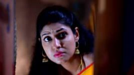 Rajamagal S01E535 24th November 2021 Full Episode