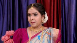 Raktha Sambandam S01E753 20th January 2021 Full Episode