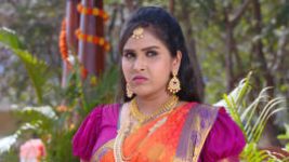 Raktha Sambandam S01E762 30th January 2021 Full Episode