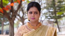 Raktha Sambandam S01E801 17th March 2021 Full Episode