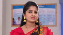 Raktha Sambandam S01E803 19th March 2021 Full Episode