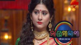Sa Re Ga Ma Pa (Zee Bangla) S05E83 10th May 2017 Full Episode