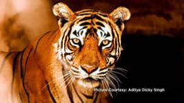 Safari India S01E04 21st February 2022 Full Episode