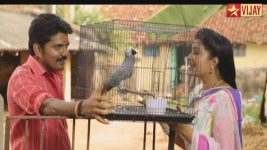Saravanan Meenatchi S09E23 Vettaiyan gifts cuckoo Full Episode