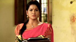 Saravanan Meenatchi S14E47 Kalaiarasi Gets Anxious Full Episode