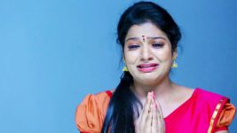 Saravanan Meenatchi S14E52 Kalaiarasi Apologises to Meenakshi Full Episode