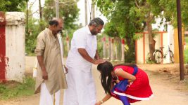 Saravanan Meenatchi S15E43 Veluchami Blesses Meenakshi Full Episode