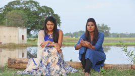 Saravanan Meenatchi S15E54 Madona Warns Meenakshi Full Episode