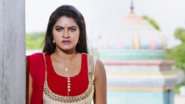 Saravanan Meenatchi S16E05 Meenakshi Suspects Saravanan Full Episode