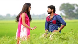 Saravanan Meenatchi S16E38 Meenakshi Taunts Saravanan Full Episode