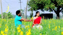 Saravanan Meenatchi S17E16 Rathnavel Proposes To Raji Full Episode