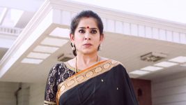 Saravanan Meenatchi S17E45 Lakshmi Is Furious! Full Episode
