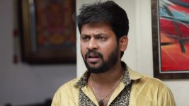 Saravanan Meenatchi S18E395 Theft at Saravanan's House Full Episode