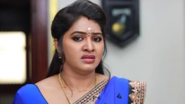 Saravanan Meenatchi S18E398 A New Problem for Meenatchi Full Episode