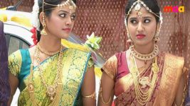 Sashirekha Parinayam S02E06 Janu suspects Sashi Full Episode