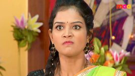 Sashirekha Parinayam S02E16 Janu picks a fight with Sashi Full Episode