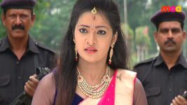 Sashirekha Parinayam S02E50 Sashi slaps Janu aka dream girl! Full Episode
