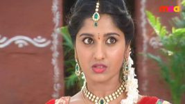 Sashirekha Parinayam S03E01 A bid for the Ganapa's laddoo Full Episode