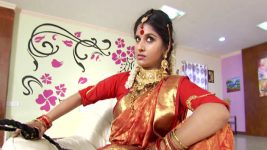 Sashirekha Parinayam S08E19 Sashi Torments Nagamani, Dharani Full Episode