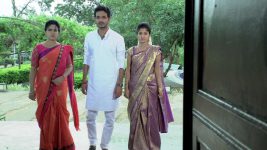 Sashirekha Parinayam S09E16 Abhi, Sashi Perform a Ritual Full Episode
