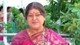 Sashirekha Parinayam S09E23 Nagamani's Sly Plot Full Episode
