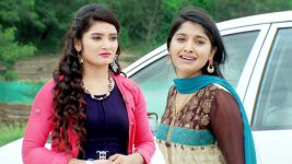 Sashirekha Parinayam S09E40 Will Sashi be Found? Full Episode